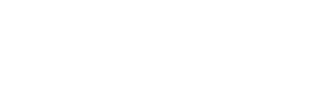 Pison